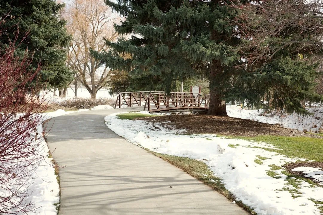 New concrete walkway